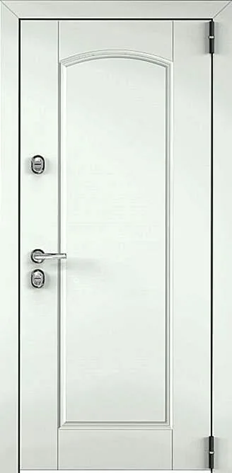 Входная дверь Argument-15 (МДФ Шпон / МДФ Филенчатый)