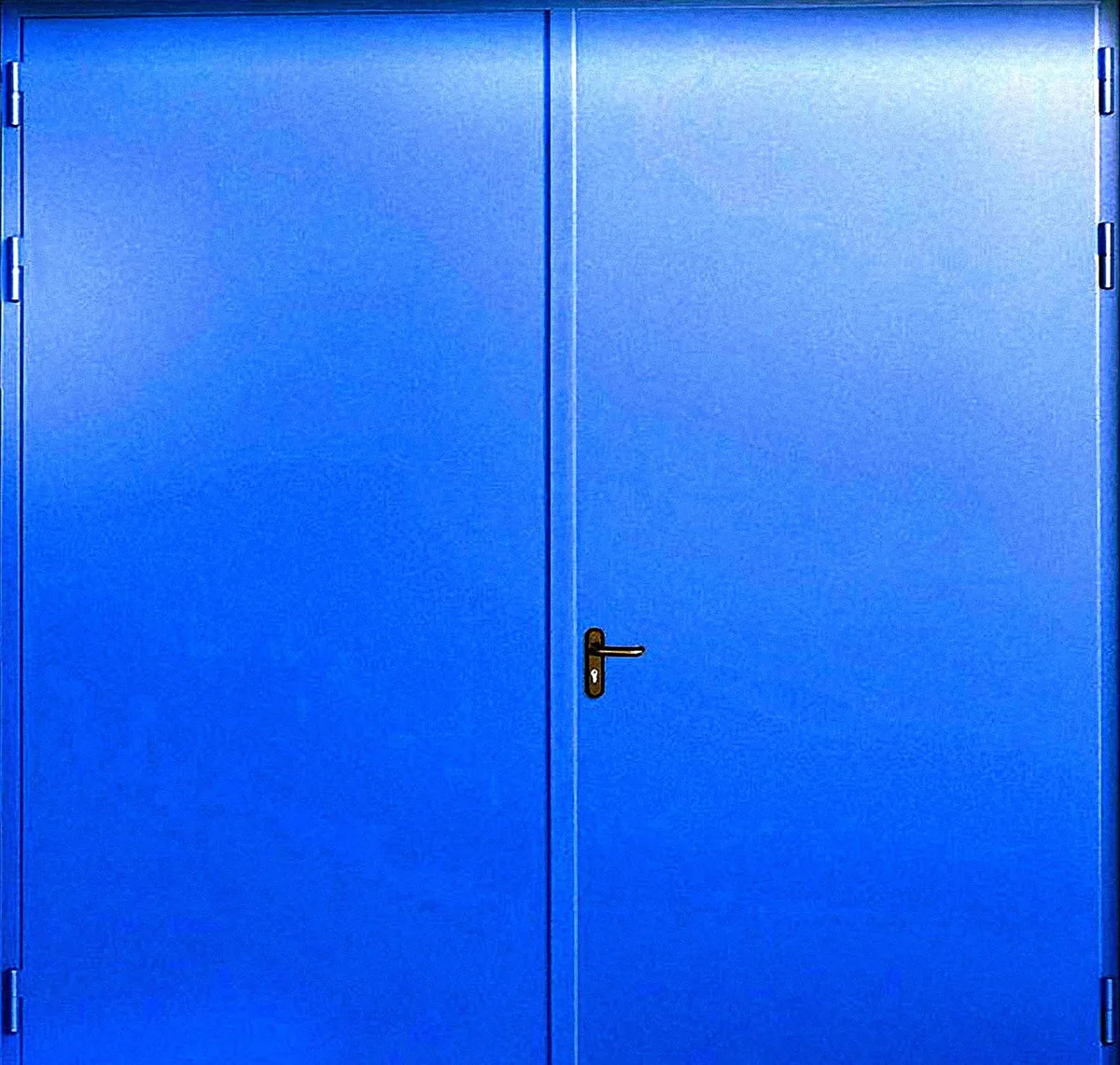 Противопожарные ворота Fenix-11 (Нитроэмаль)