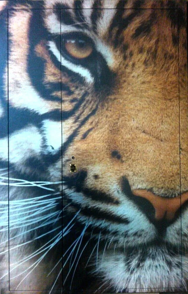 Входная дверь Zerda-1 (Фотопечать / МДФ ПВХ)